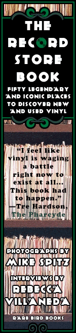 Ad featured on VinylDistrict.com